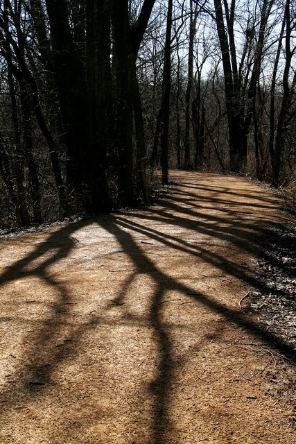 A Shadowed Path