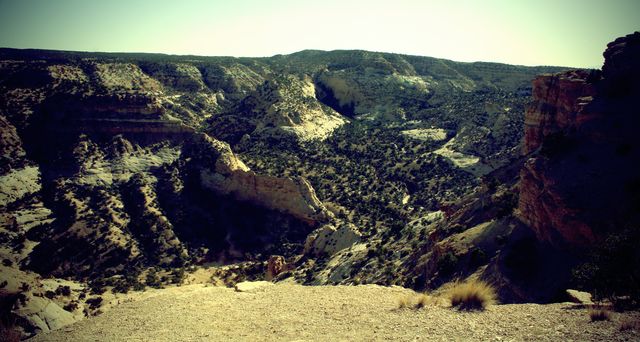 Canyon Depths (I)