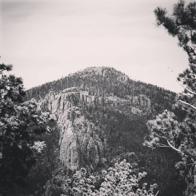 Custer Range