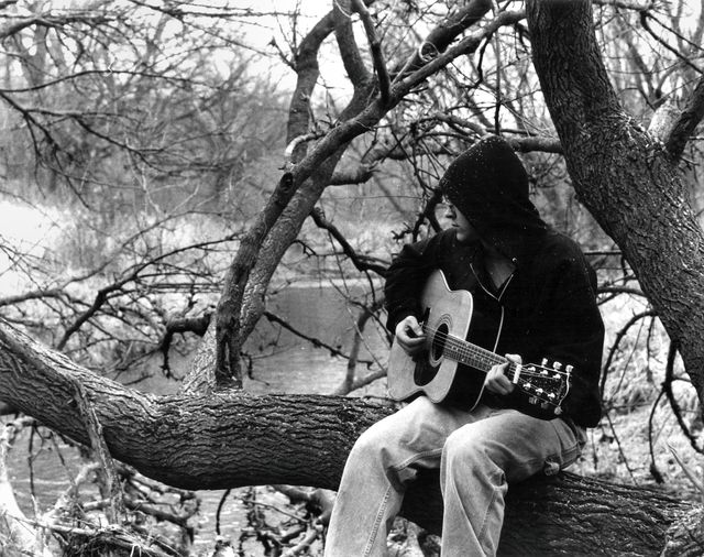 Harry on the Tree