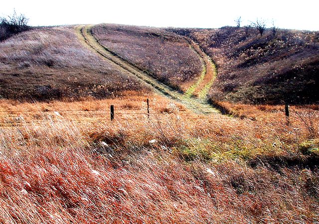 Loop in the Country