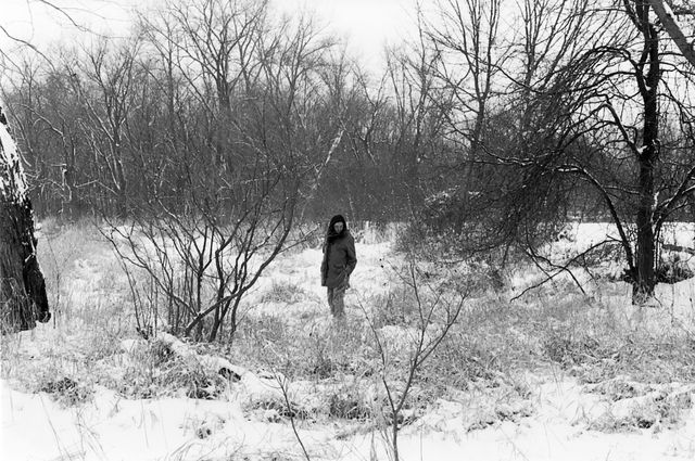 Lost in the Snow