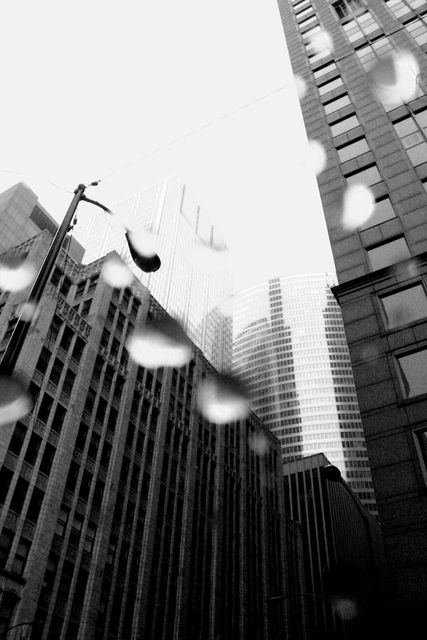 The Towers Rain Down