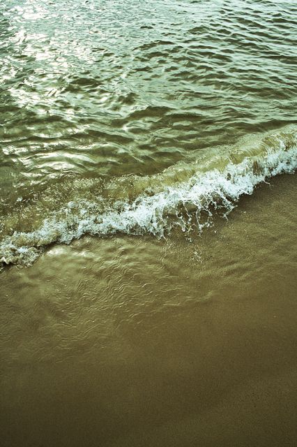 Wave
