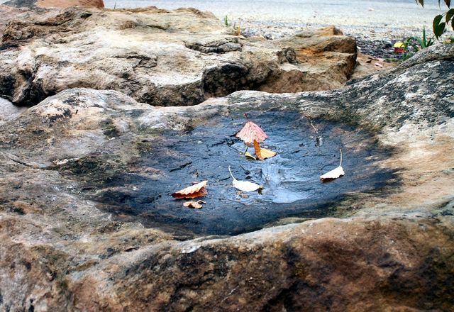 Wet Rock