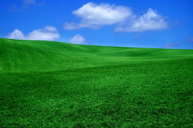 Windows Is Going to Sue Me